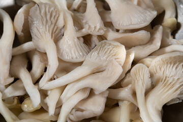 mushrooms