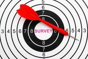 Web survey target