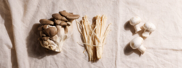 oyster mushrooms, enoki, champignons on textile background. Natural medicine, reduce stress and improve immunity , health care concept.banner