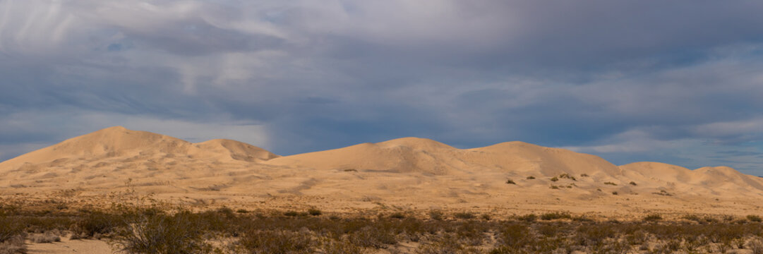 Panoramic landscape scenic view in Mojave Desert, California with Kelso Sand Dunes in view on blue sky day. © Scalia Media