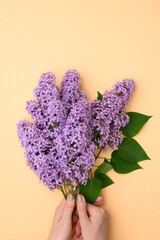 Beautiful purple lilac in female hands on a beige background. Florist concept. Syringa vulgaris