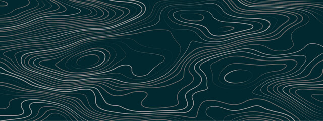 Abstract topographic wavy curve line background. Topography map pattern, Geographic curved relief. Topographic lines background. Vector illustration.