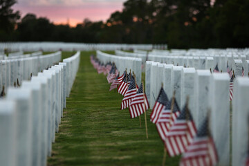 American flags placed at the headstones of veterans on Memorial Day, at National Cemetery in...