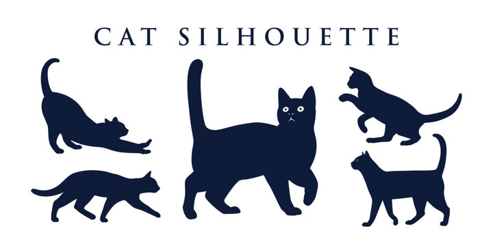 Vector Of Cat Flat Silhouette With Different Poses