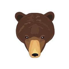 The nature and wild animals face front of the white background