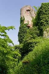 Fototapeta premium Ruines du château de ferrette
