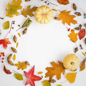 Fall composition, circle made of white pumpkins, fallen leaves and other floral elements