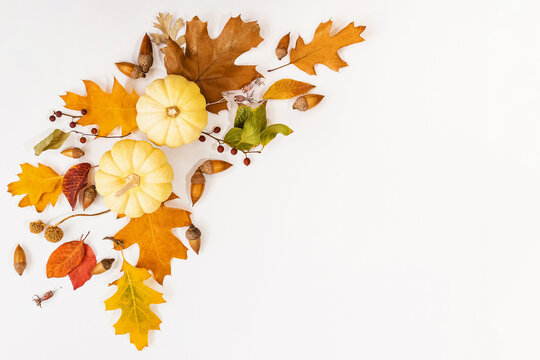 Creative fall composition with white pumpkins, fallen leaves and other floral elements, autumn decor,