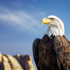 Obraz premium Majestic Bald Eagle Perched Against the Breathtaking Sky with Copy Space - Photo Art Created with Generative AI and Other Techniques