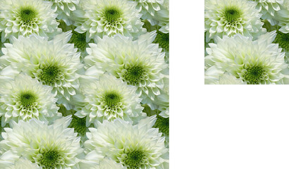 Repetitive tile dahlia in white and green, 2x2 to see the repetition, beautiful flower for all kind of luxury and elegant backgrounds. Generative AI.
