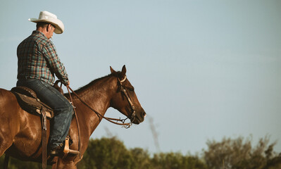 Senior cowboy riding young bay horse in Texas ranch field during summer, copy space on background...