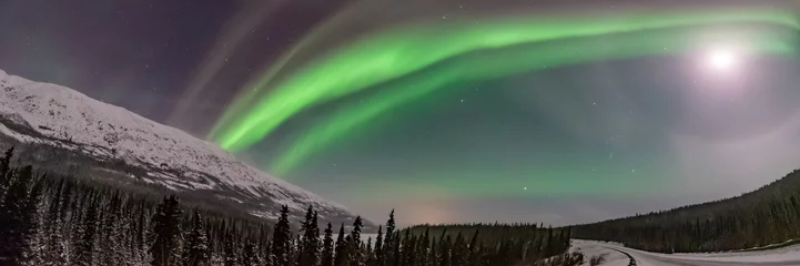 Foto auf Leinwand Panoramic landscape aurora borealis views in northern Canada, Yukon Territory during winter time with bright northern lights covering the sky.  © Scalia Media