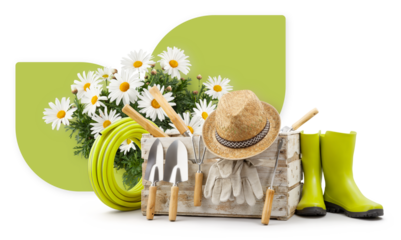 Gardening tool equipment. Daisies, wooden crate with garden kit, rubber boots, hose, hat and gloves, isolated on white background. Shopping advertising banner template for florist shop or greenhouse