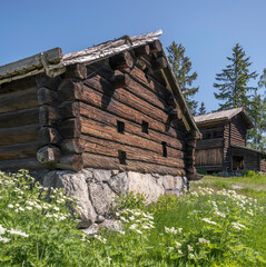 Old log houses in park, a sunny summer day in Stockholm