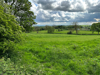Extensive rural landscape, with fields, stone walls, old trees, and distant farms near, Coley, Halifax, UK
