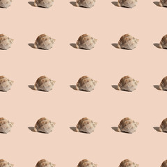 Sea shell on pastel beige background with shadows. Seamless pattern, summer vacation banner concept