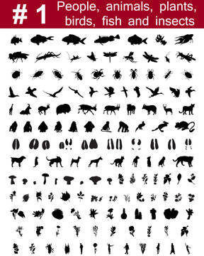 Set # 1.Big collection of collage vector silhouettes of people, animals, birds, fish, flowers and insects