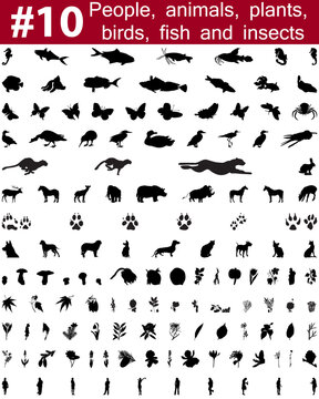 Set # 10. Big collection of collage vector silhouettes of people, animals, birds, fish, flowers and insects