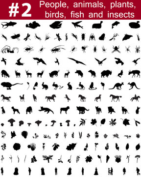 Set # 2.Big collection of collage vector silhouettes of people, animals, birds, fish, flowers and insects