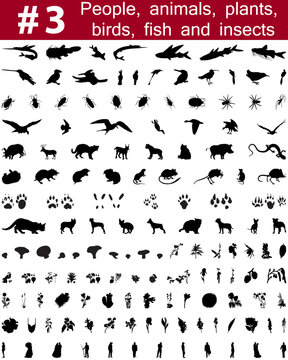 Set # 3. Big collection of collage vector silhouettes of people, animals, birds, fish, flowers and insects