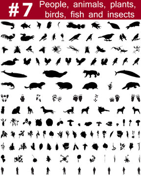 Set # 7. Big collection of collage vector silhouettes of people, animals, birds, fish, flowers and insects