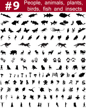 Set # 9. Big collection of collage vector silhouettes of people, animals, birds, fish, flowers and insects