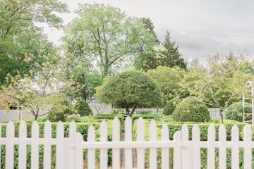 white fence and tree