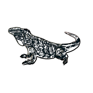 sketch of lizard with transparent background