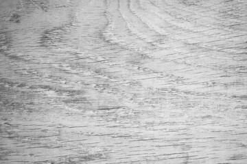 Gray wood texture. Abstract old wood pattern background