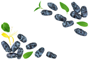 Fresh honeysuckle blue berry isolated on white background with full depth of field. Top view with copy space for your text. . Flat lay.