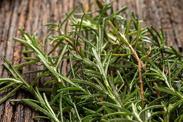 fresh organic freshly picked rosemary with dew or rain drops on top of rustic farmhouse wooden table, selective focus