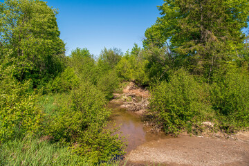Fototapeta na wymiar creek flowing through driftwood in Spring