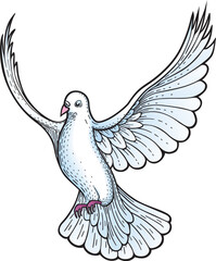 White dove vector