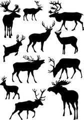 vector illustration of a deer set