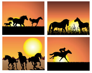 Fototapeta na wymiar Set of horse silhouette on sunset background. Vector illustration.