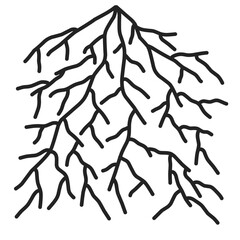 vector, icon, root, plant, symbol, illustration, nature, sign, organic, natural, logo, leaf, growth, tree, garden, design, isolated, line, eco, ecology, graphic, branch, silhouette, agriculture, art, 