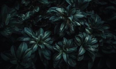  a group of green plants with leaves on them in the dark night time, with only one plant in the center of the picture and one plant in the middle of the picture.  generative ai