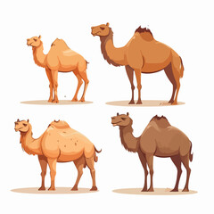 Camel illustrations showcasing their resilience and grace.