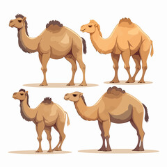 Expressive camel illustrations with intricate details.
