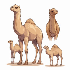 Playful camel illustrations that will add a touch of fun to any project.