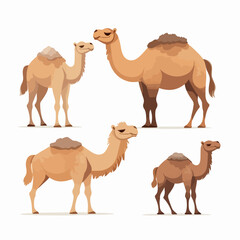 Cute and cuddly camel illustrations for nursery decor and baby products.