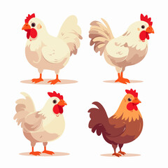 Fototapeta premium Vector illustrations of chickens suitable for poultry-related advertisements.
