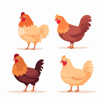 High-quality vector illustrations of chickens suitable for print and digital media.