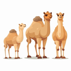 Versatile camel illustrations suitable for branding and logo design.