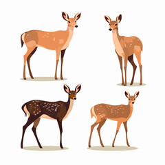 Detailed deer illustrations featuring different poses, perfect for nature-inspired projects.