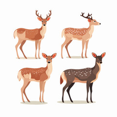 Unique deer illustrations for educational materials, evoking curiosity about wildlife.