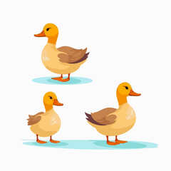 Vector illustrations of ducks featuring a range of expressive postures.