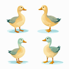 Vector illustrations of ducks suitable for nature conservation campaigns.