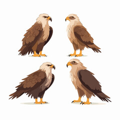 Fototapeta premium Powerful eagle illustrations capturing their regal and commanding presence.