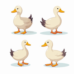 Duck illustrations in different poses, showcasing their graceful swimming.